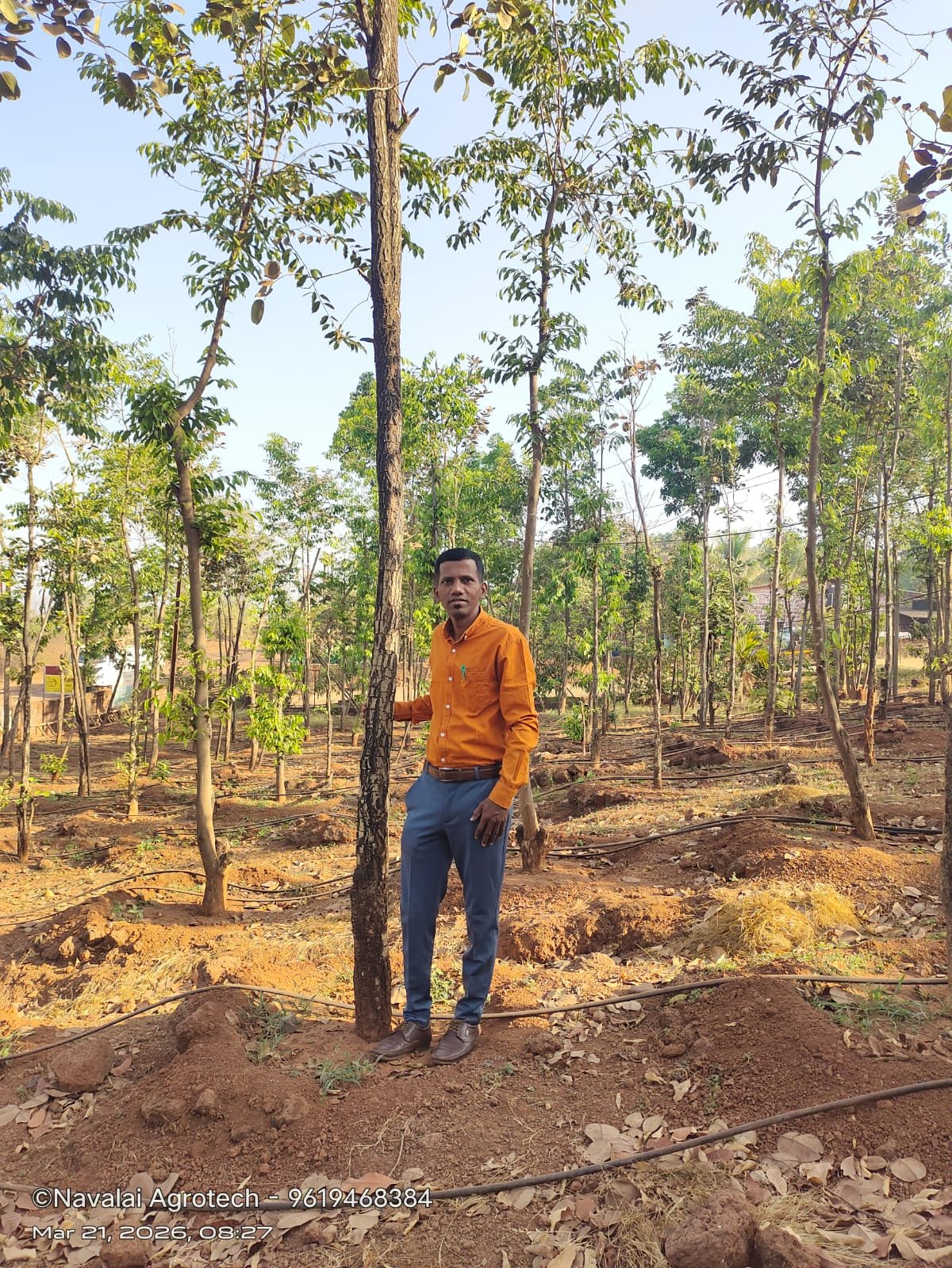 Narayan K. Kadam